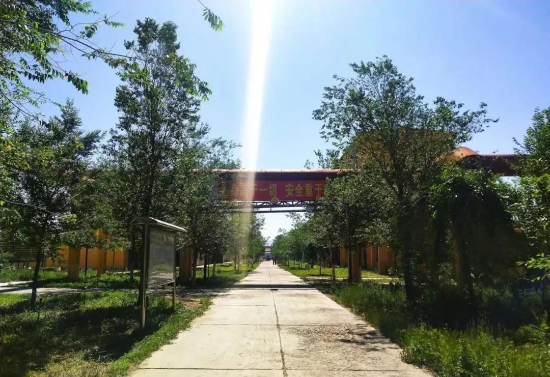 寶石花·有聲 | 十年，我愛(ài)上了你——恒盛